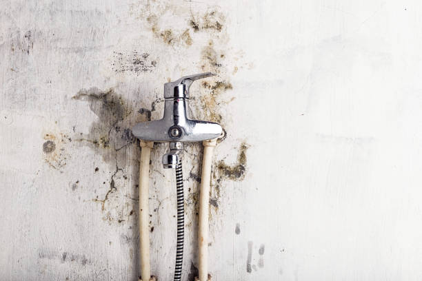 Professional Mold Remediation in Cannelton, IN