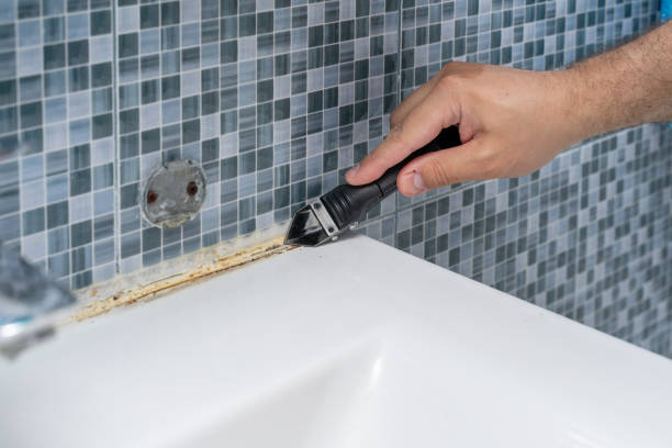 Best DIY Mold Remediation Support Services in Cannelton, IN