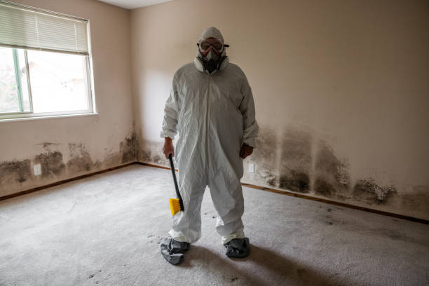 Best Mold Testing and Inspection Services in Cannelton, IN